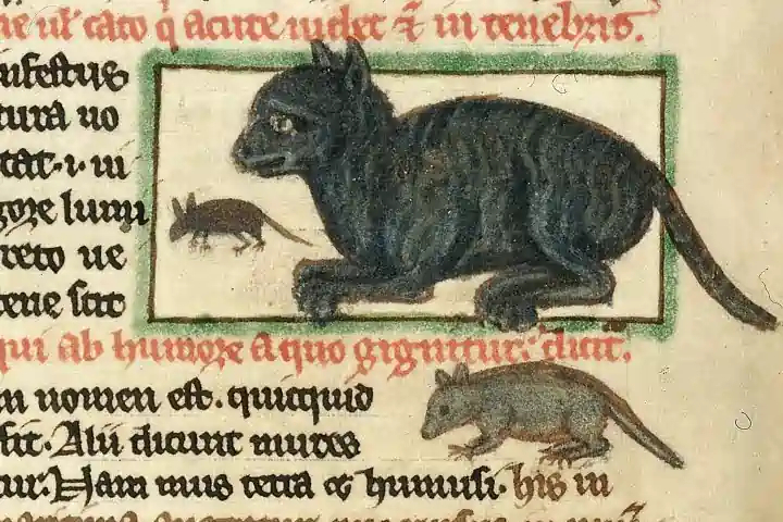 Grabado medieval con un gato dibujado