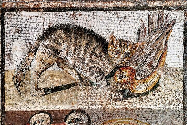 Mosaico romano de un gato cazando