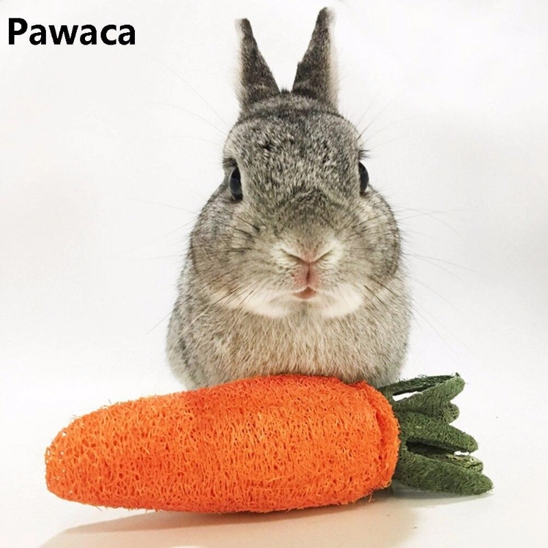 Zanahoria vegetal para conejos y roedores para conejos | Juguete para conejos