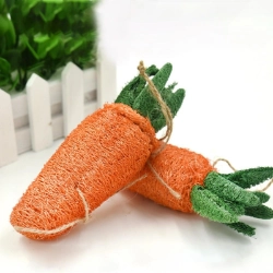 Zanahoria vegetal para conejos y roedores