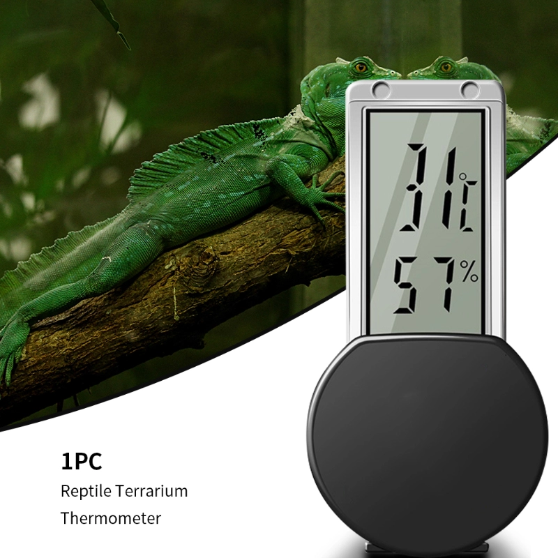 Termómetro higrómetro para terrarios VertLCD para lagartos | Juguete para lagartos