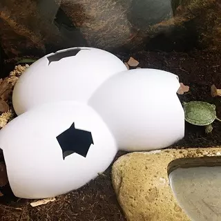 Cueva con forma de huevos Eggscave, juguete decoración del terrario de para lagartos