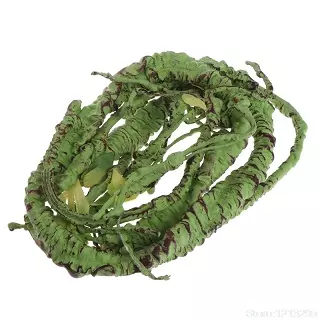 Liana de selva, juguete decoración del terrario de para lagartos