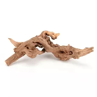 Tronco de madera natural, juguete decoración del terrario de para lagartos