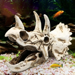 Cabeza de Triceratops para terrarios