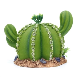 Cactus Cartoons para terrarios