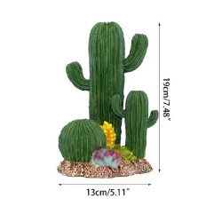 Cactus Desierto para terrarios