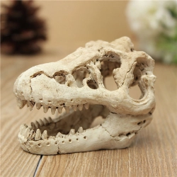 Cráneo de Tiranosaurus Rex para terrario