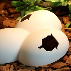 Cueva con forma de huevos Eggscave