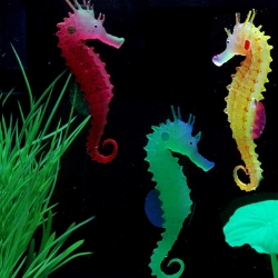 Caballitos de mar de colores para acuario