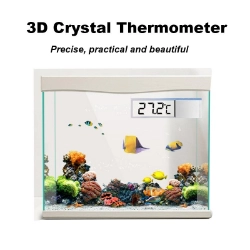 Termómetro transparente LCD