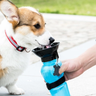 Botella de agua portátil para perros Voronka, juguete alimentación de para perros