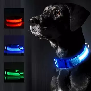 Collar luminoso Optical, juguete collares y arneses de para perros