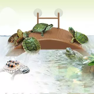 Puente para tortugas, juguete plataformas de para tortugas